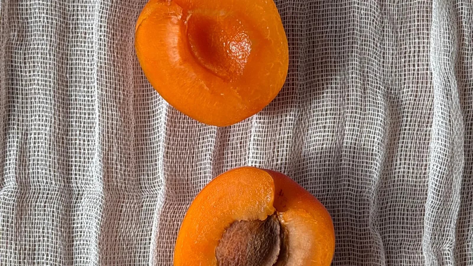 Albaricoques partidos y caramelizados a la brasa, glaseados con miel al romero y servidos sobre una cucharada de mascarpone, junto a un kamado de cerámica encendido.