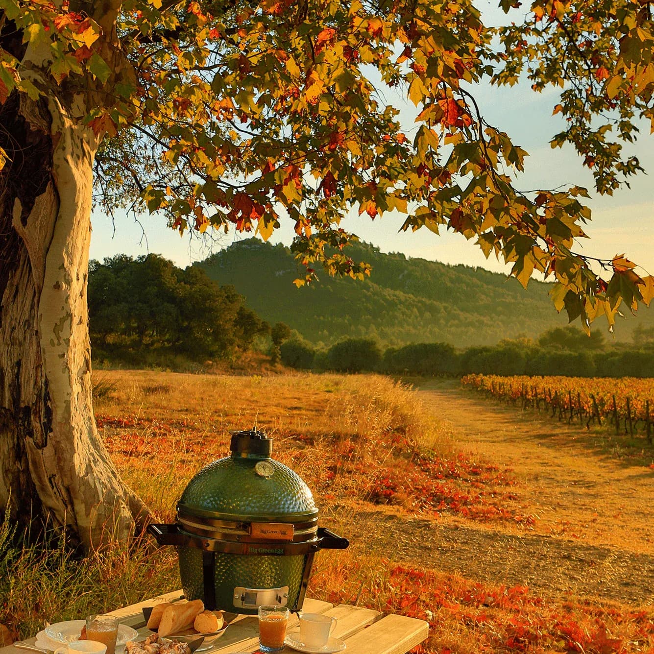 Big Green Egg MiniMax
