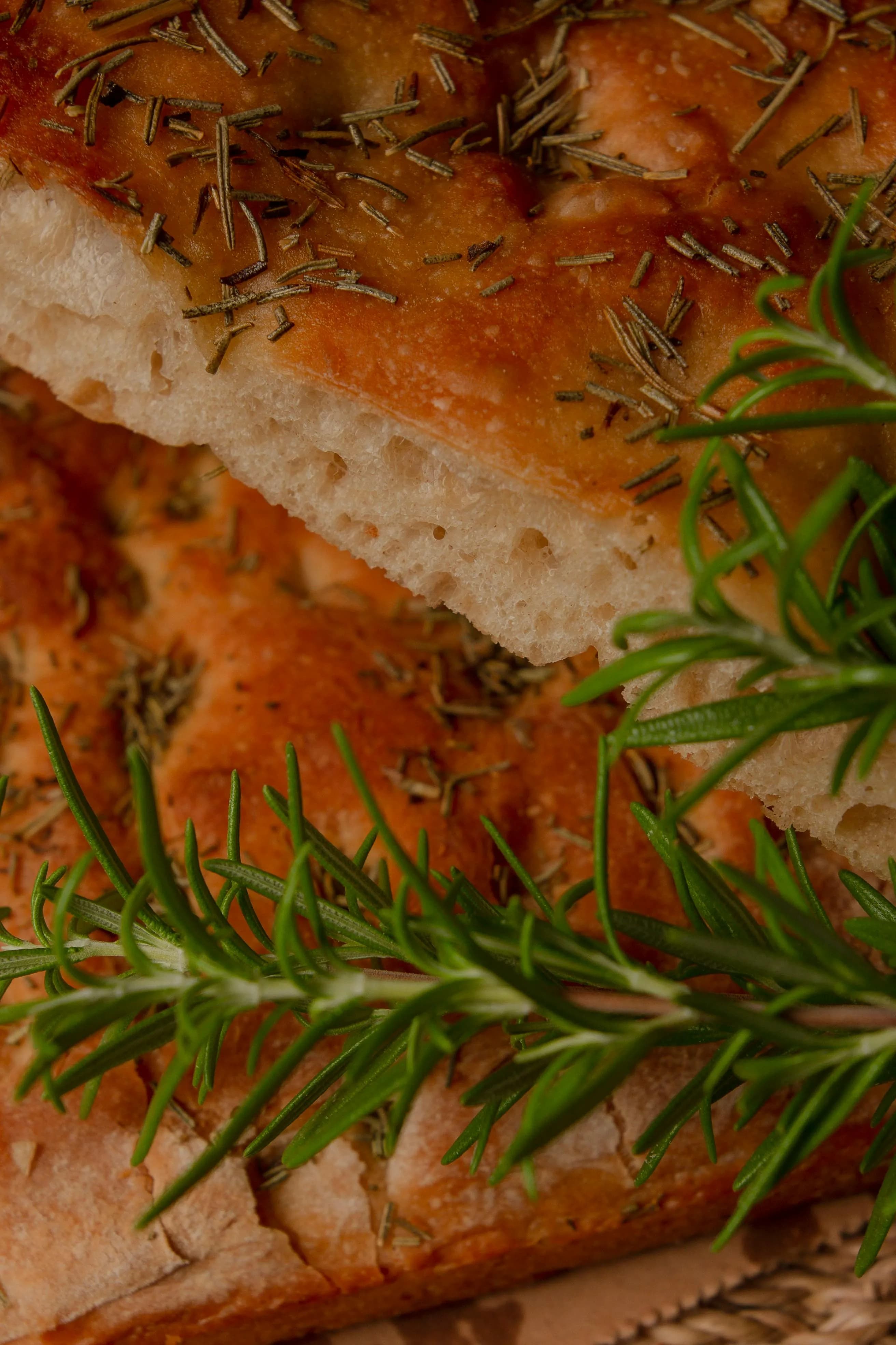 Focaccia con romero recién horneada, miga aireada y aceite de oliva