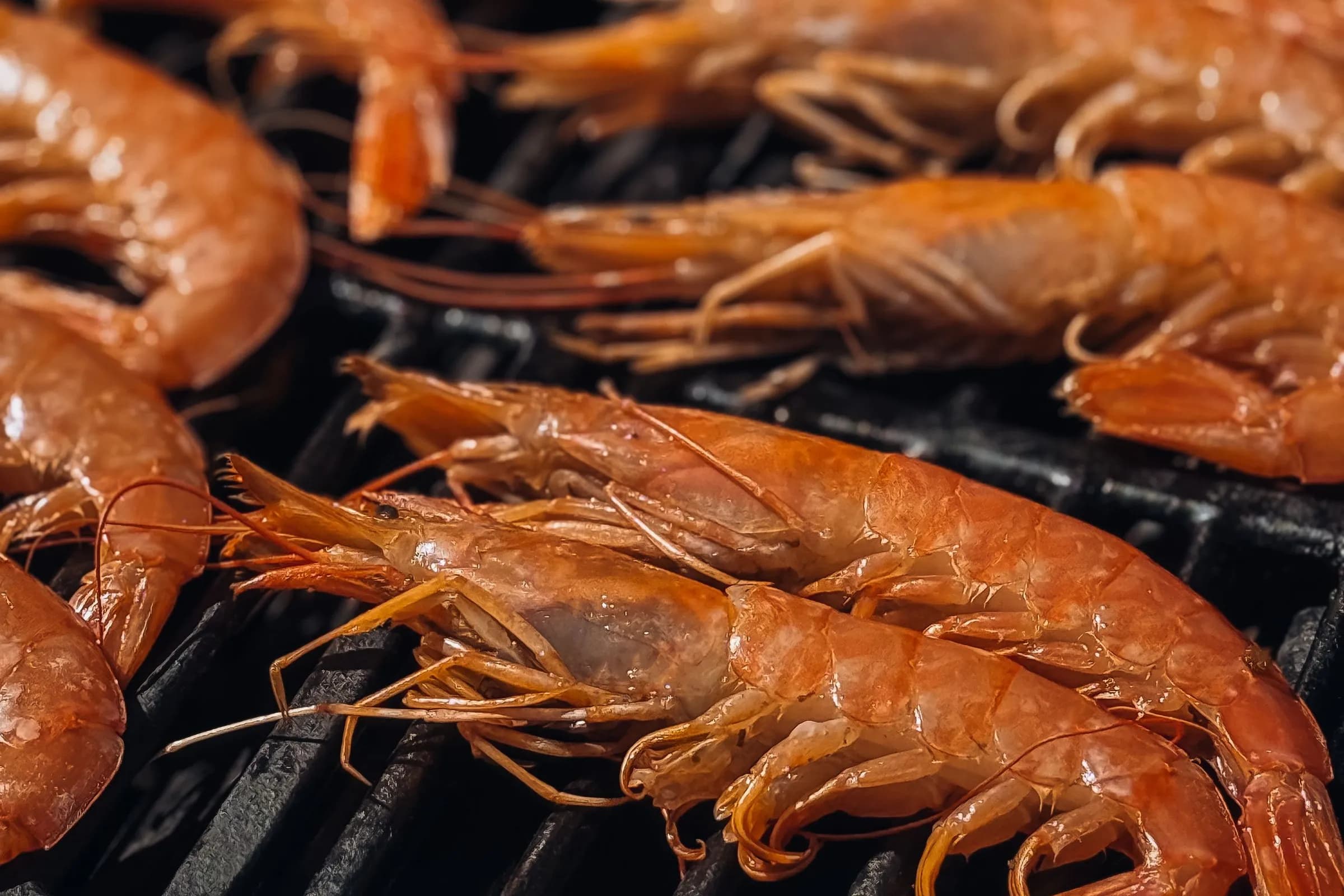Gambones rojos enteros asándose sobre la parrilla, con brillo de aceite y tonos rojos intensos