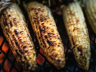 Mazorcas de maíz asadas a la brasa estilo elote, untadas con mayonesa-lima, queso cotija desmenuzado, chile en polvo y cilantro, sobre la rejilla de un kamado.