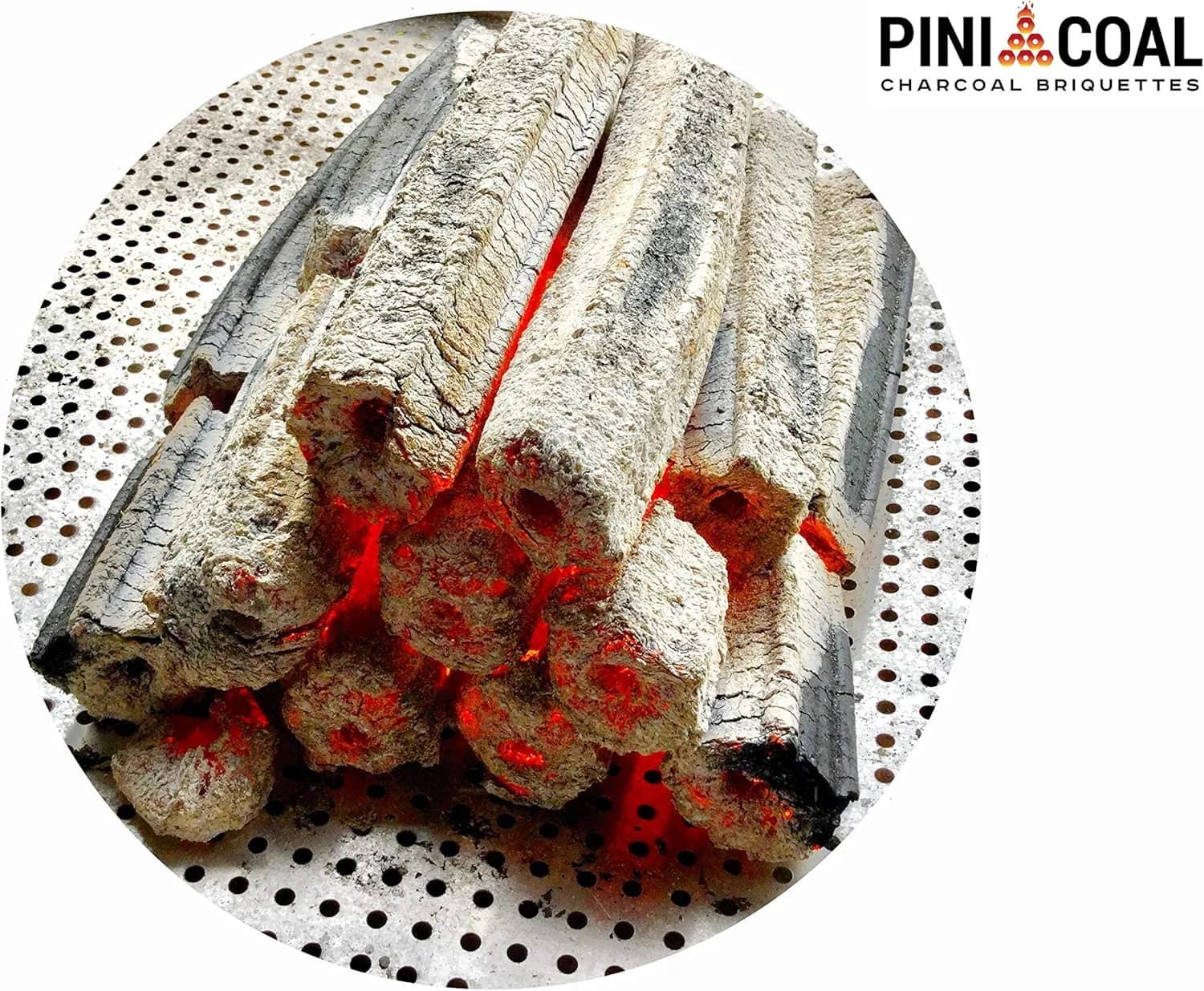 PINI COAL Briquetas de Carbón Vegetal Premium 10 kg