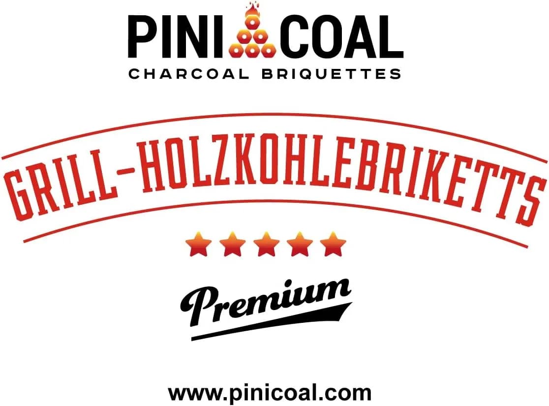 PINI COAL Briquetas de Carbón Vegetal Premium 10 kg