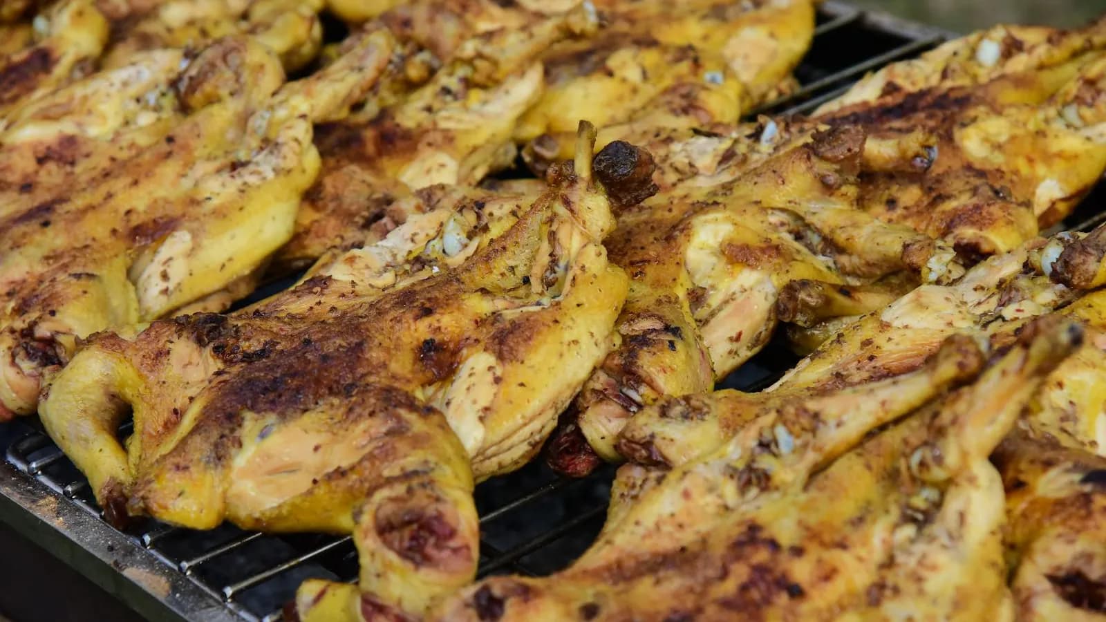 Pollos enteros abiertos en mariposa dorándose a la parrilla