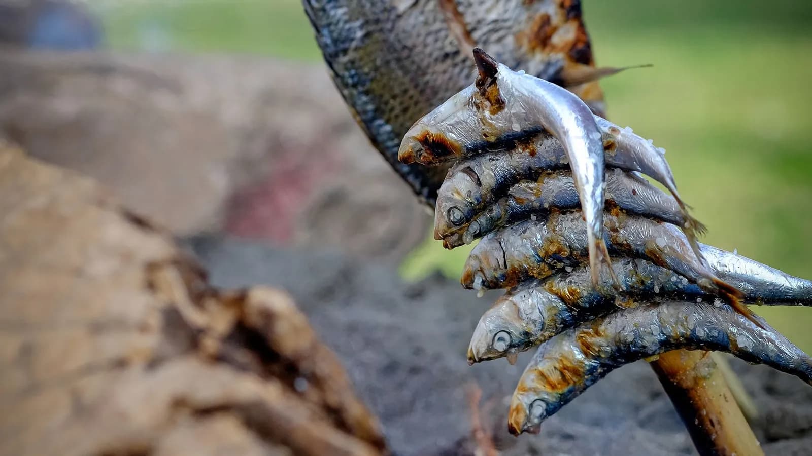 Sardinas frescas con sal gruesa y la piel chamuscada, recién asadas al calor de las brasas de un kamado, servidas con gajos de limón y pan rústico.