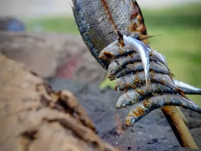 Sardinas frescas con sal gruesa y la piel chamuscada, recién asadas al calor de las brasas de un kamado, servidas con gajos de limón y pan rústico.