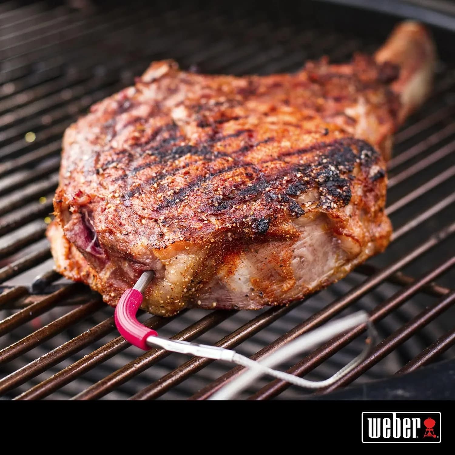 Weber Sonda para temperatura interna, para modelos iGrill y Weber Connect Smart Grilling Hub, hasta 300° C, para monitor (vista 3)