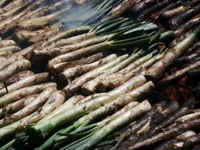 Calçots ennegrecidos por fuera sobre la brasa viva de la parrilla