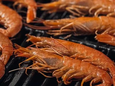 Gambones rojos enteros asándose sobre la parrilla, con brillo de aceite y tonos rojos intensos
