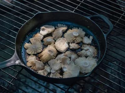 Níscalos salteados en una sartén de hierro fundido colocada sobre la parrilla